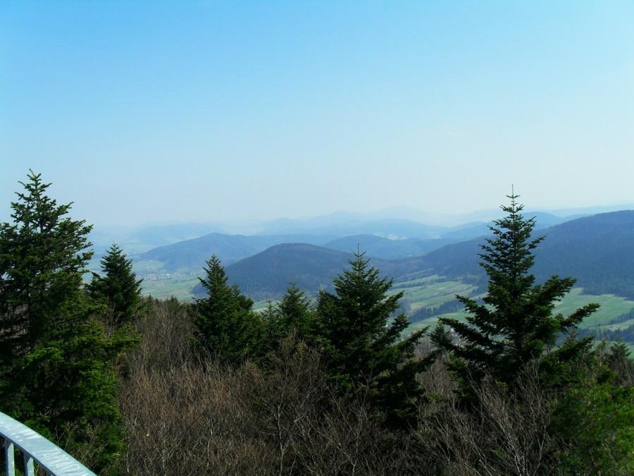 Widok z wierzy