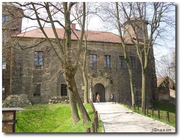 Zamek w Toszku - widok od wschodu
