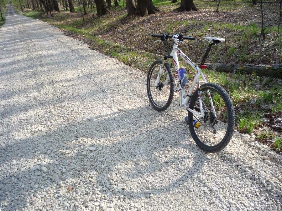 biała droga dla białego bika
