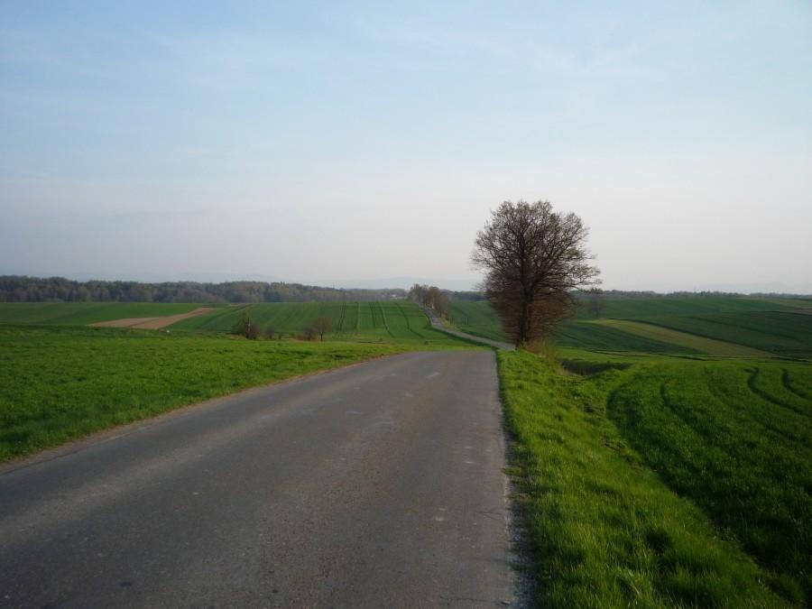 bardzo sympatyczna traska