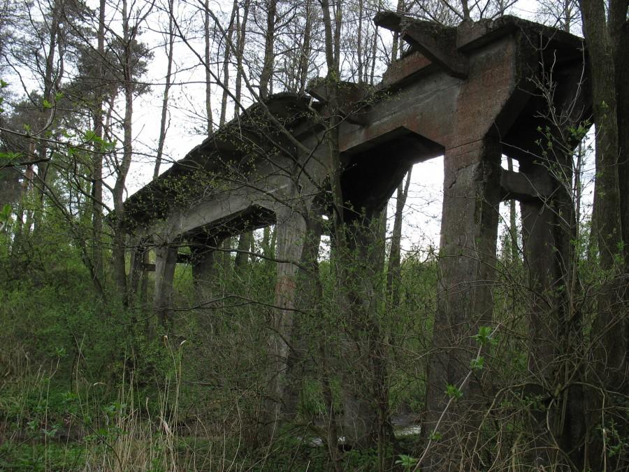 Radziejowice - wiadukt