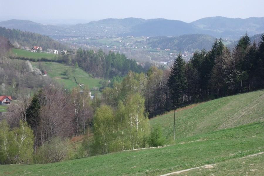 Widoczek
