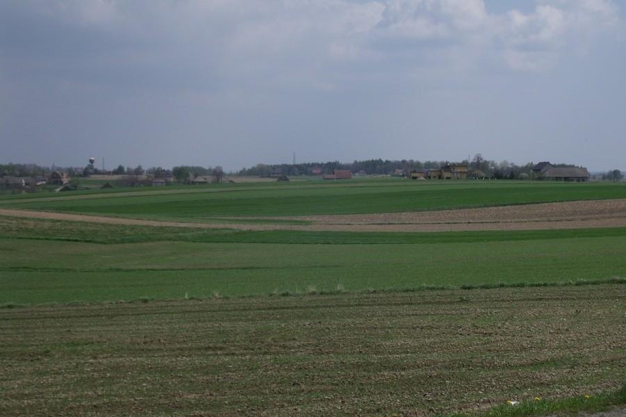 Przez pola