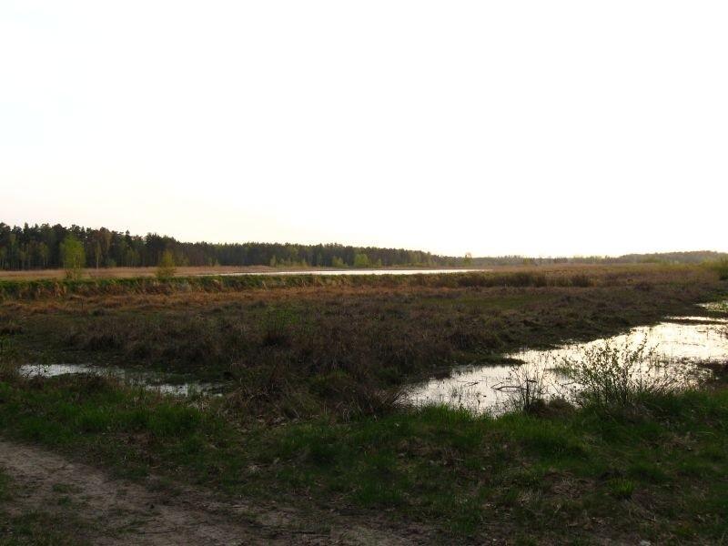 Stawy-Zabłocie.