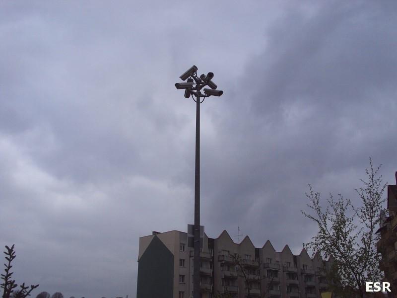 Elbląska Kameromania.