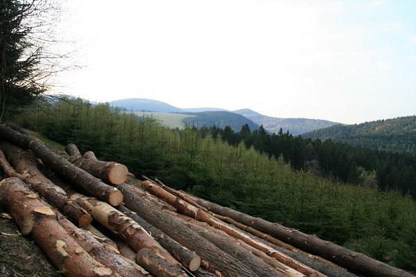 Cygańskie Pola