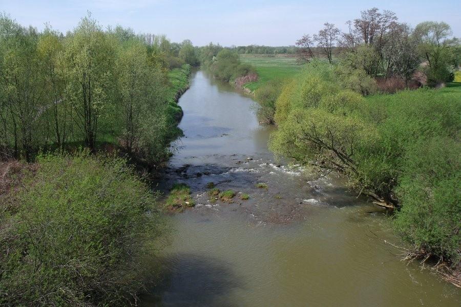 Widok z moatka