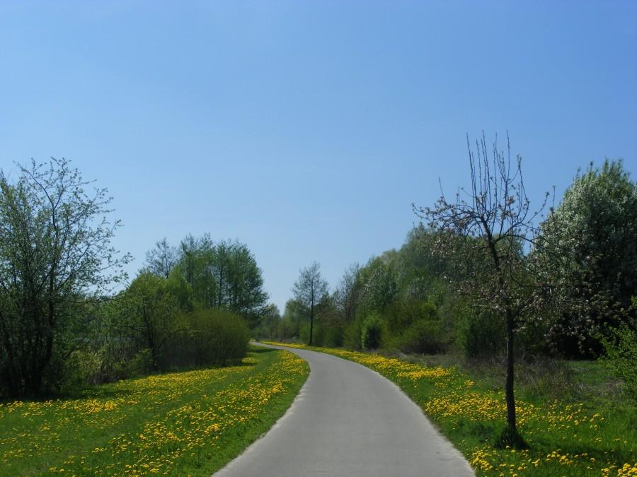 Na początek- ścieżka nad zalewem
