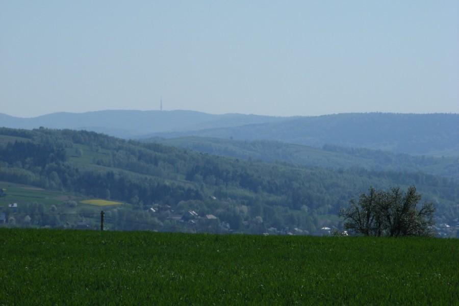 Góreczki:) w tle przekaźnik na Suchej Górze