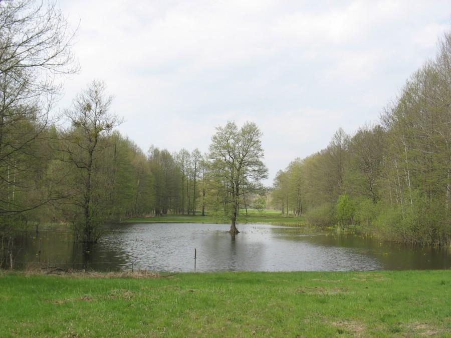 Rybakowe