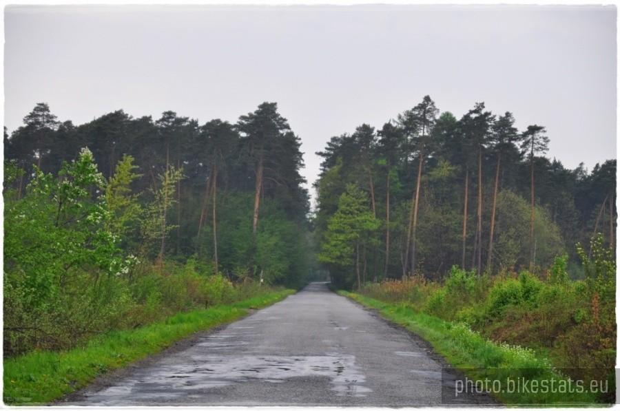 Las Brzeski (Grądy)