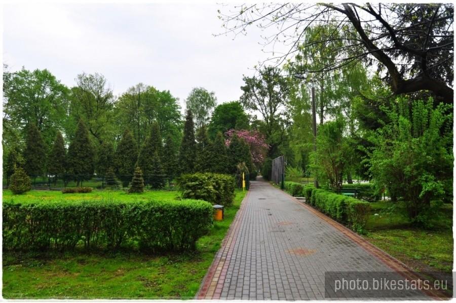 Park Jordanowski w Brzesku.