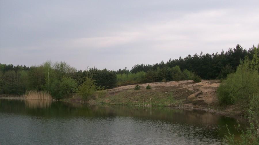 Przystanek Gołąb