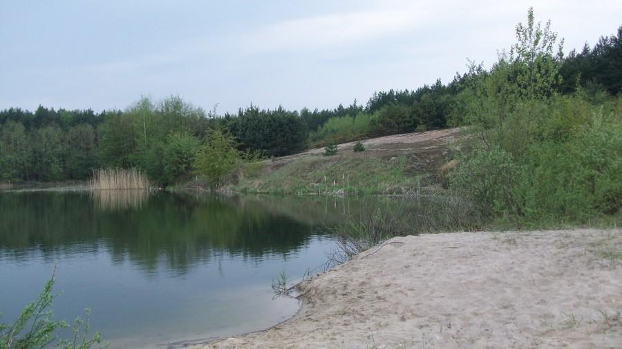 Przystanek Gołąb