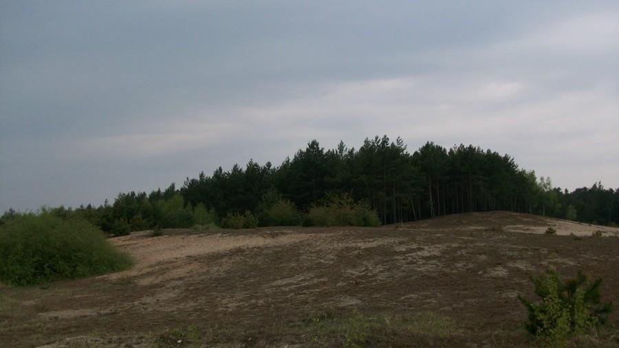 Przystanek Gołąb