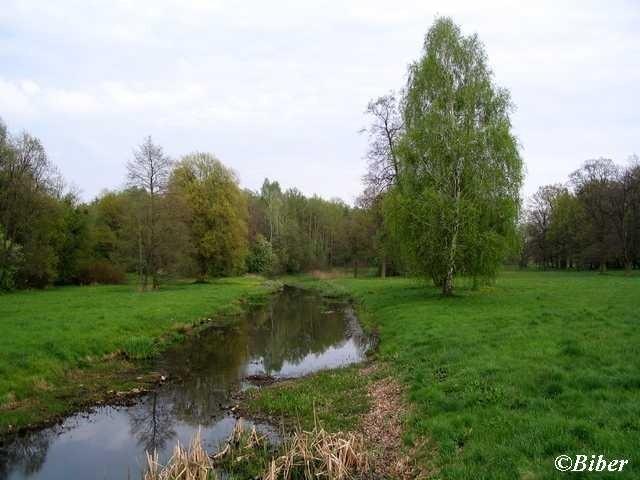 Park w Świerklańcu