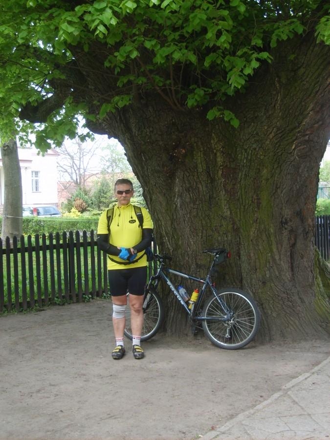 Ja,rower i lipa jak baobab