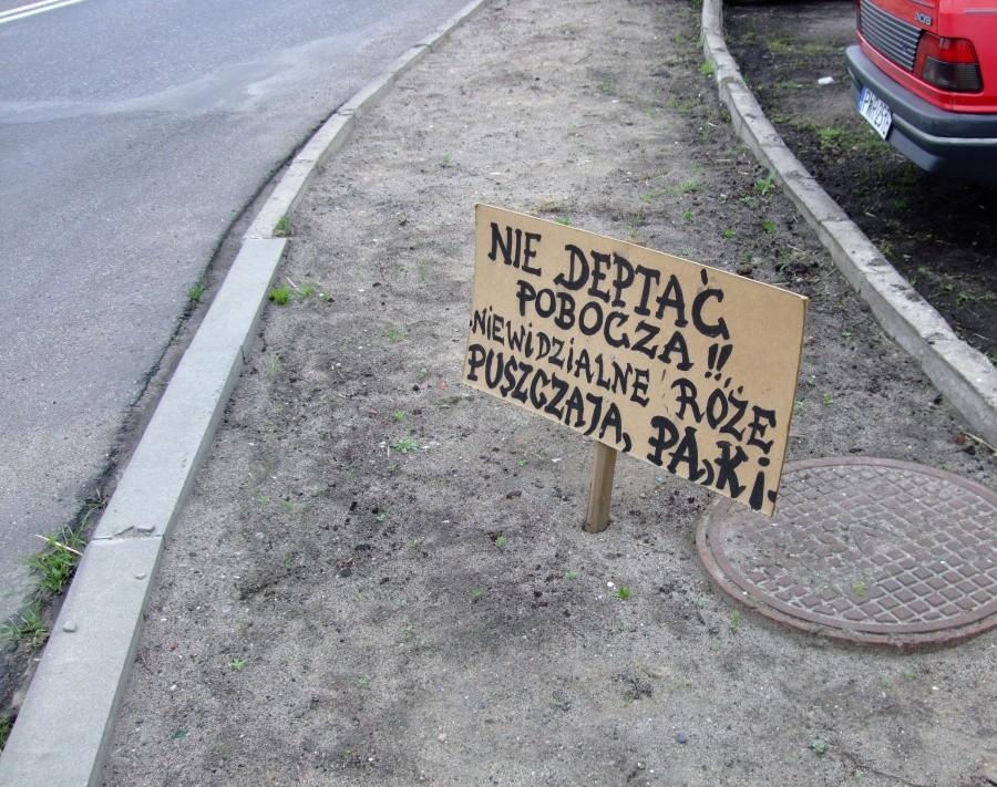 niewidzialne róże