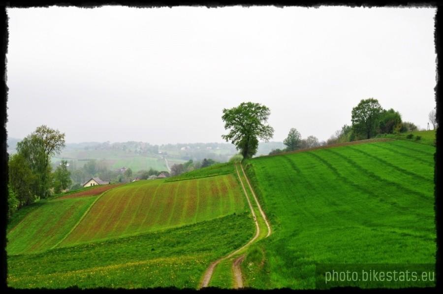 Okolice Dębna