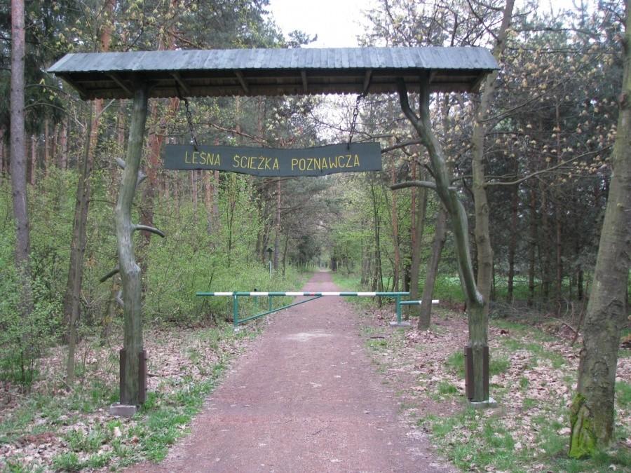 Ścieżka przyrodnicza w Brynku