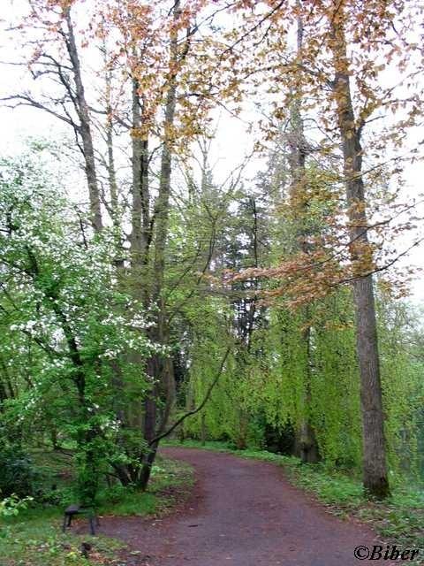 Ogród botaniczny w Brynku