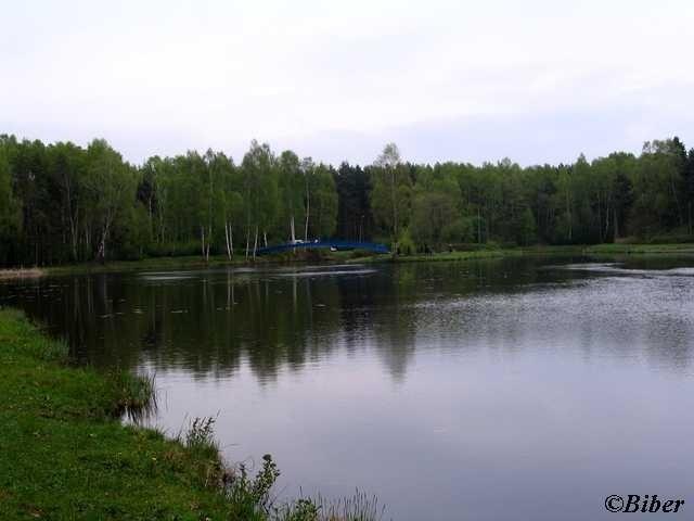 Zalew w Pniowcu