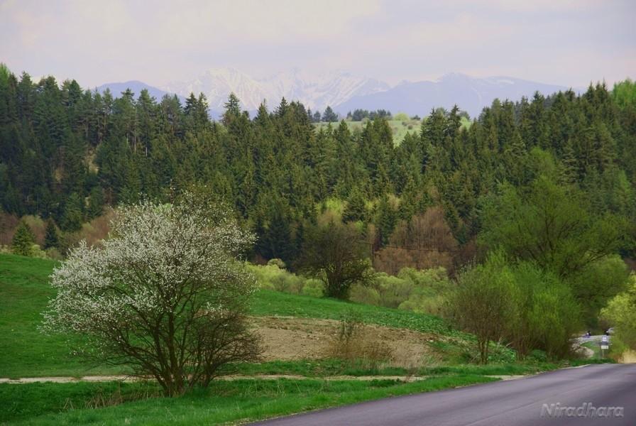 Tatry wciąż w śniegu