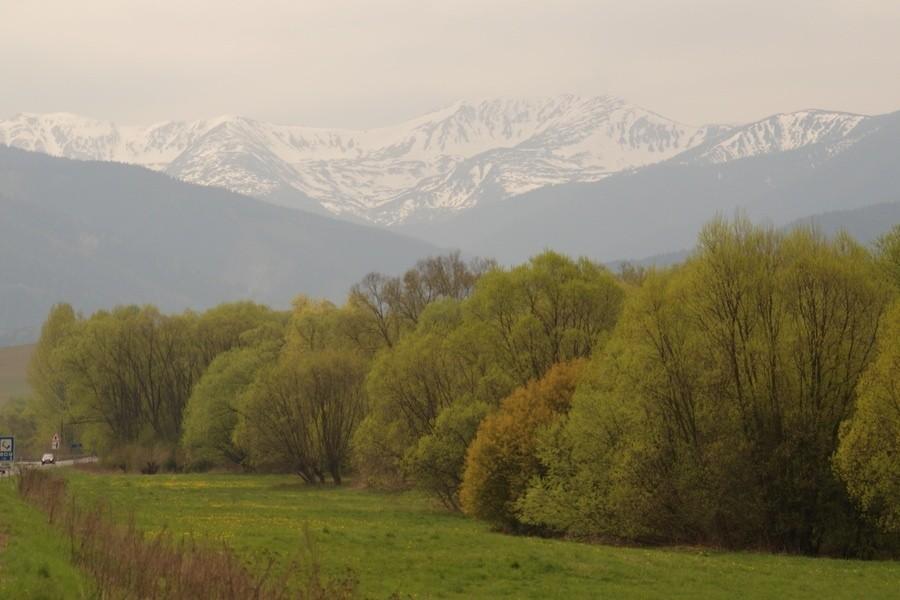 Widoczek