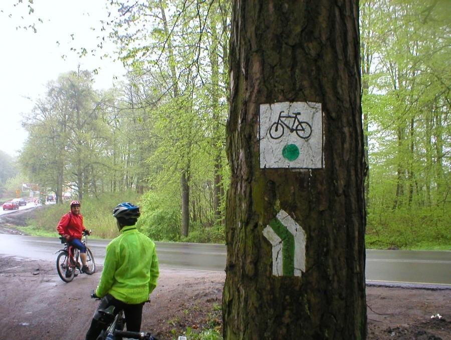 KONIEC SZLAKU ZIELONEGO PRZY DK 16