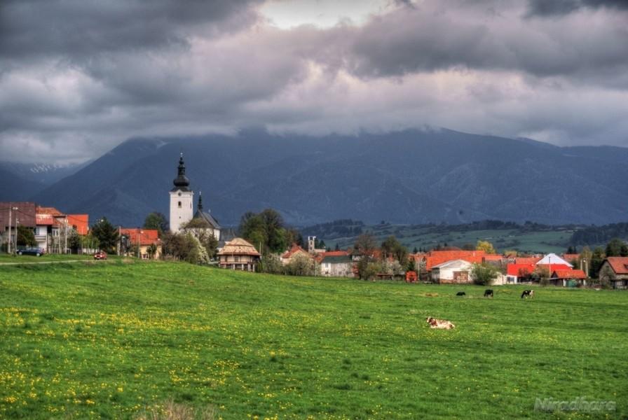 pejzaż z krową