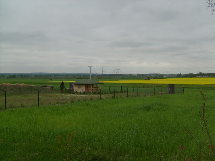 Widok w stronę Konina