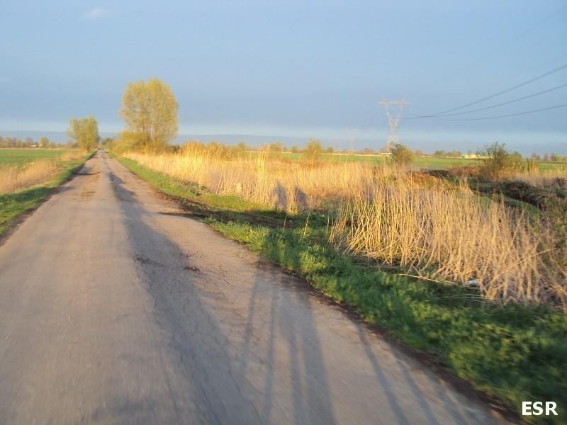 Rowerowe cienie.