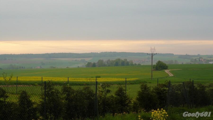 Wiosenne pola
