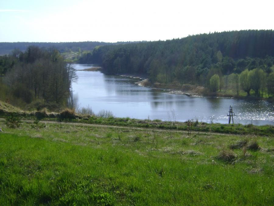 Jeziorka w Gniewkowie