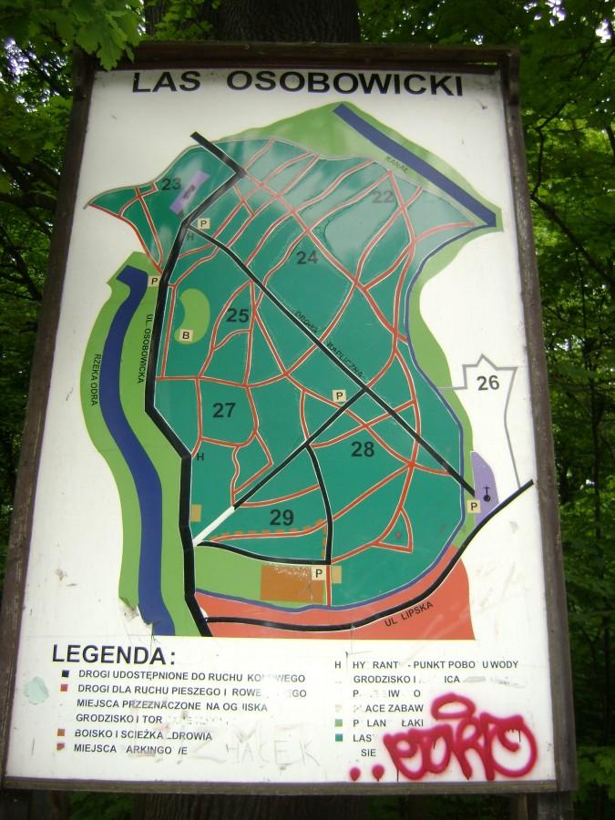 Plan lasu
