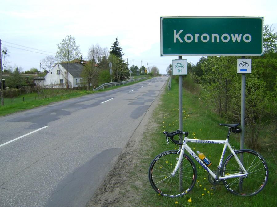 W Koronowie