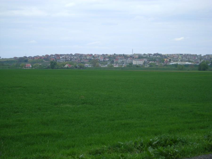 Świecie nad Wisłą-widok z oddali