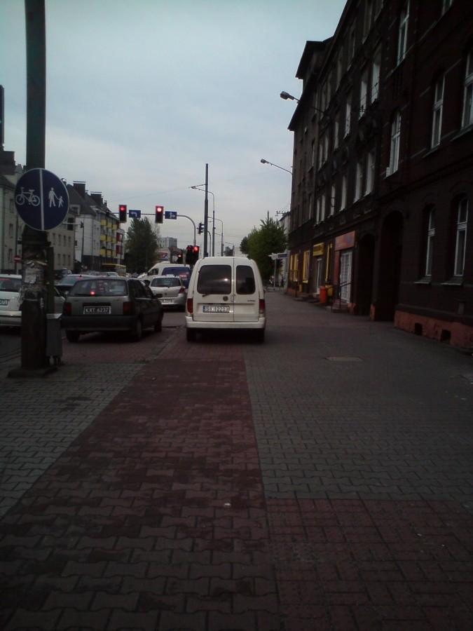 Baran na drodze rowerowej