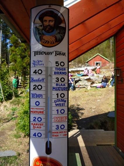 Temperaturomierz ;) przy Håvashytta