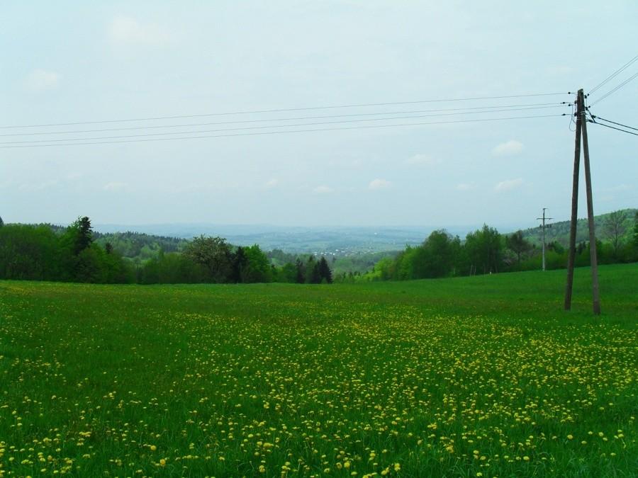W oddali Szalowa