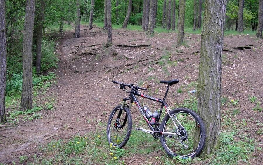 Korzenny podjazd na Osową Górę