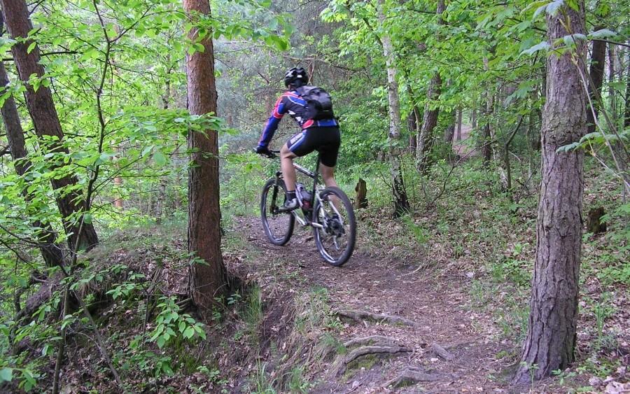 Singletrack w WPN-ie