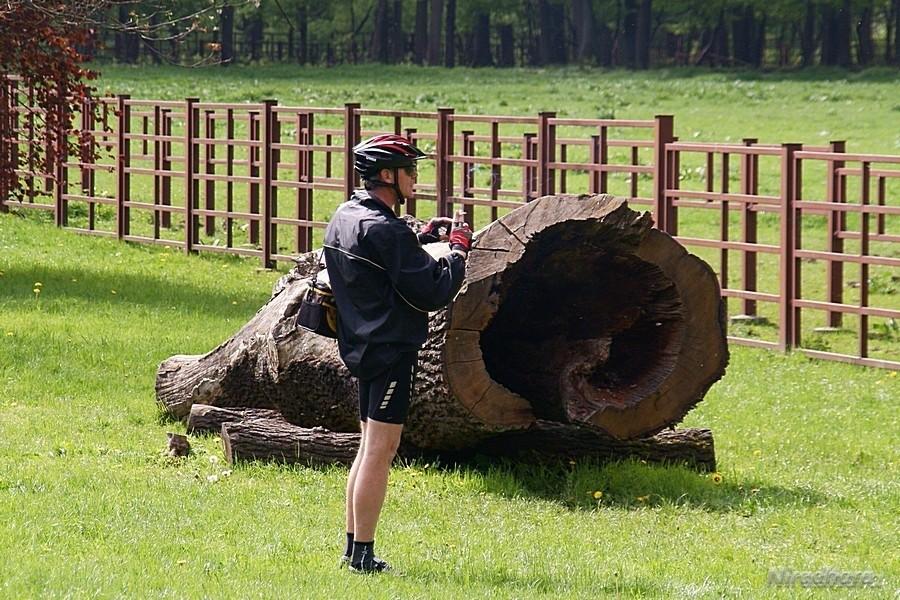 Piotrek też foci