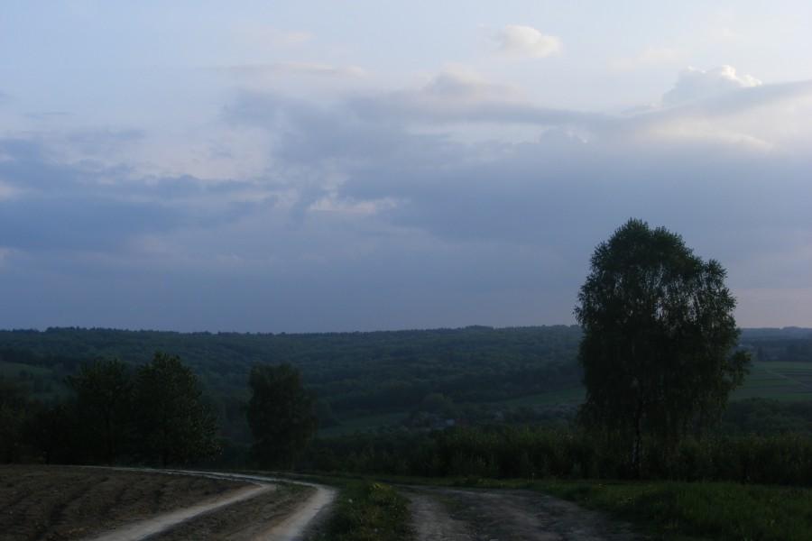 Widok na las czudecki od strony Niechobrza