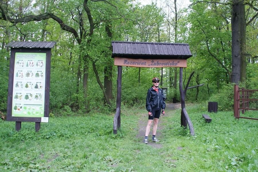 Rezerwat Żubrowisko