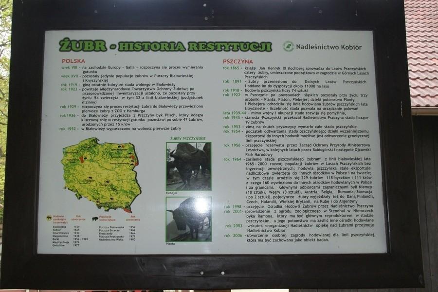 Tablica
