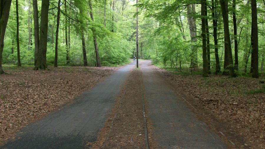 Ścieżka rowerowa z Azotów