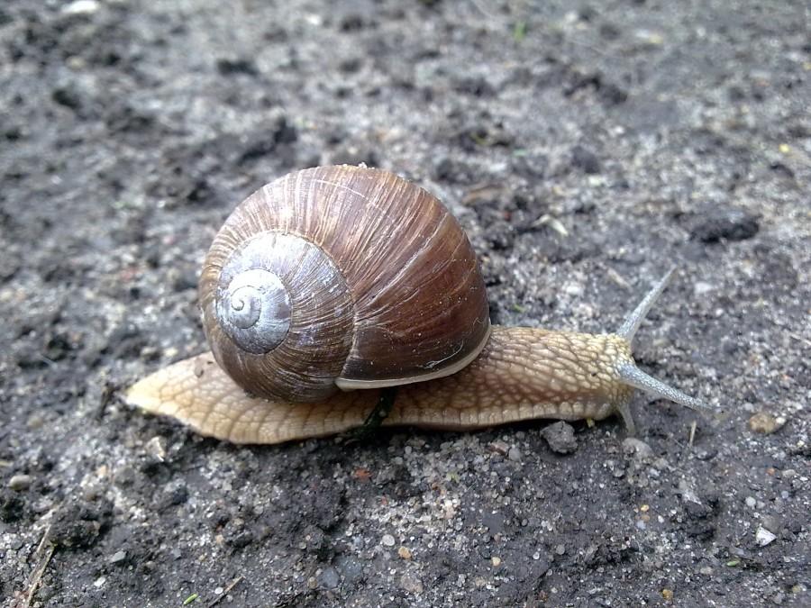 Niezły zawodnik doszedł mnie na podjeździe ;)))