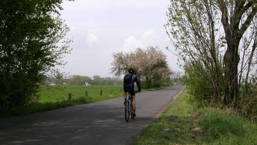 Boczne drogi dla rowerzystów są super