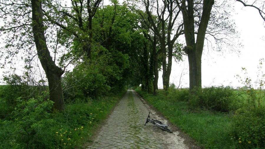 Kolejny, stary bruk